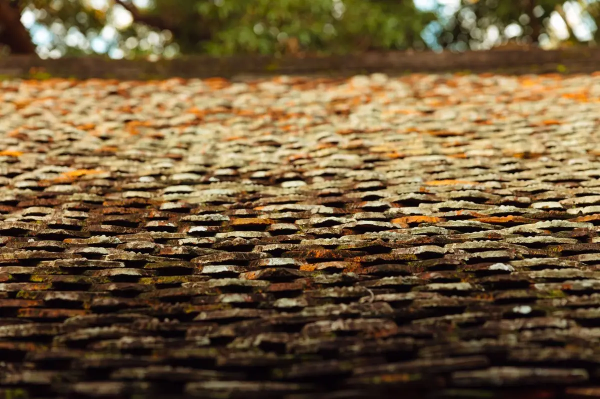 roofing project in Wilson, NC — 4